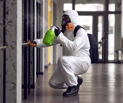 Why You Should Choose Our Mold Remediation Services in Neuse Forest, NC